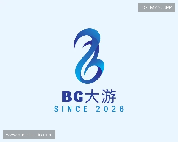 认识BG大游